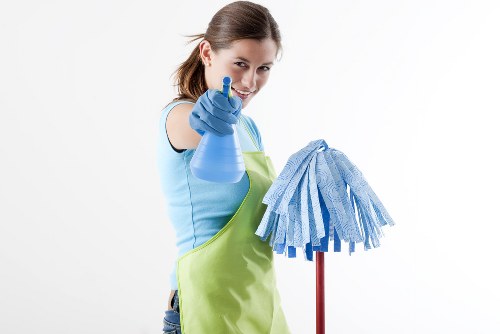Professional cleaners working in a St John’s Wood home