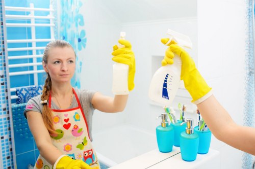 Professional carpet cleaning in a Stjohnswood living room