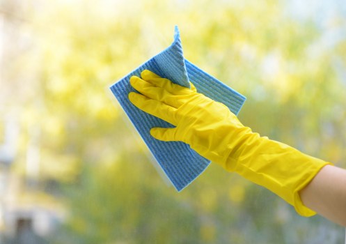 Regular cleaning service in a Stjohnswood home with a tidy living room and polished surfaces