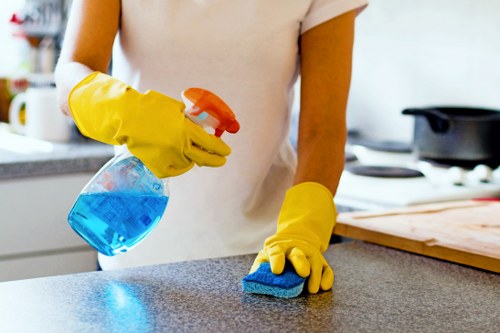Professional move in cleaning in a Stjohnswood apartment kitchen