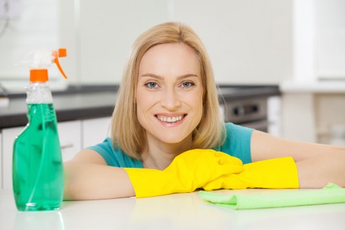 Illustration of cookies supporting the Cleaners Stjohnswood website experience
