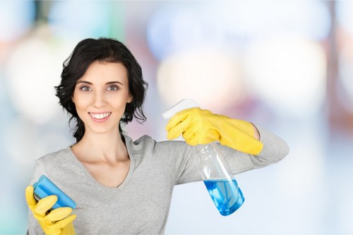 Professional deep cleaning for a Stjohnswood apartment or flat