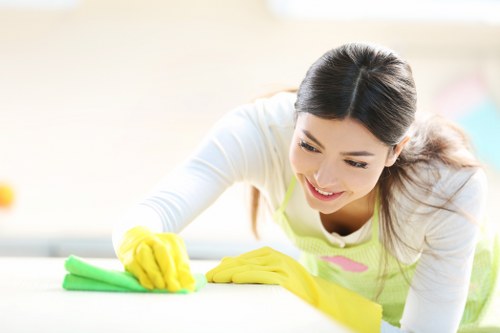 Professional gutter maintenance for residential and commercial properties in Stjohnswood