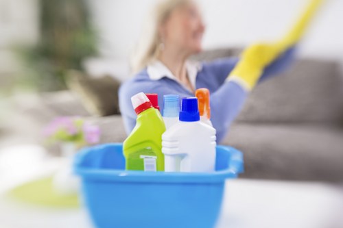 Bathroom deep cleaning in a Stjohnswood move out clean