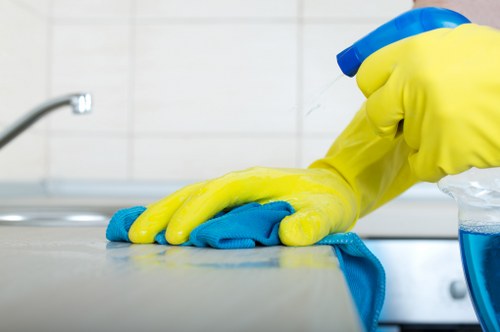 Local oven cleaning visit for a flat in Stjohnswood