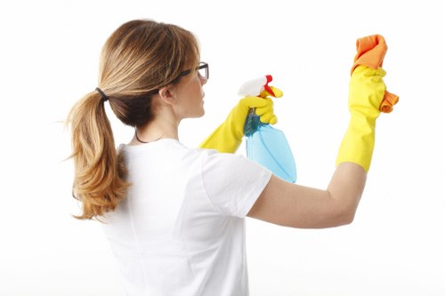 Local cleaner carrying out detailed deep cleaning in Stjohnswood