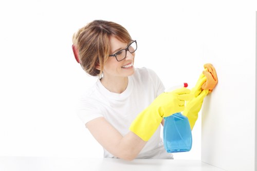 Regular domestic cleaning in a Stjohnswood apartment