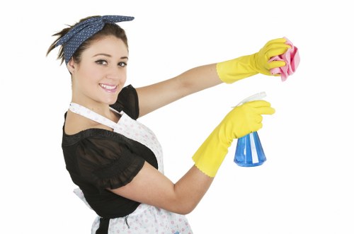 Detailed house cleaning support for Stjohnswood residents