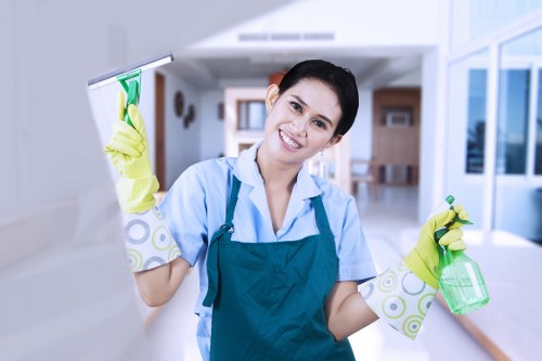 Specialist pet odour treatment for carpets and sofas in Stjohnswood