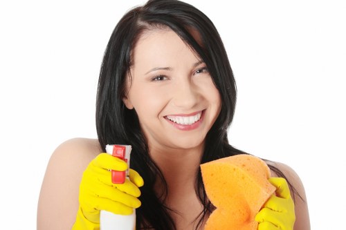 Professional window cleaning service near St John’s Wood homes and flats
